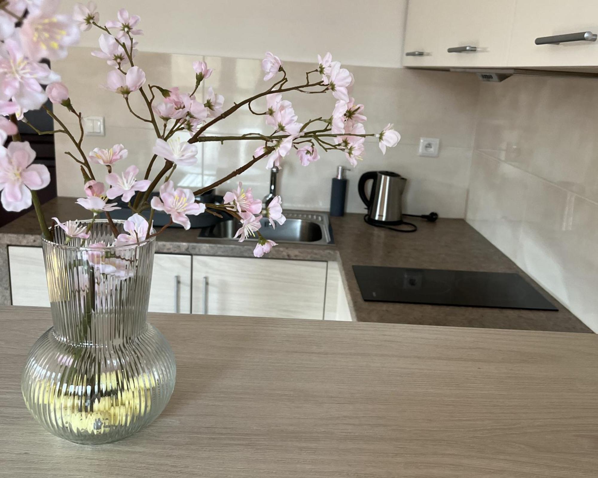 Apartamety I Pokoje Goscinne Na Jaskolczej ชเวียราโดว์-สโดรยจ์ ภายนอก รูปภาพ